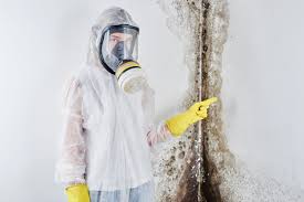 Best Emergency Mold Remediation  in Tahlequah, OK